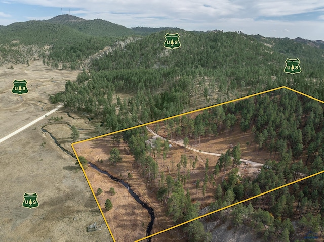 birds eye view of property featuring a mountain view