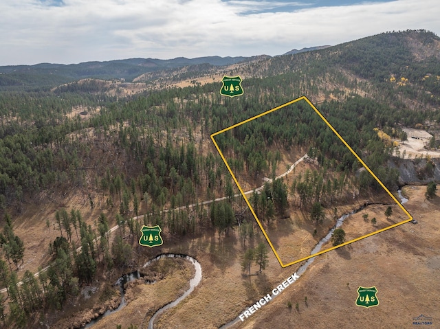 drone / aerial view with a forest view and a mountain view
