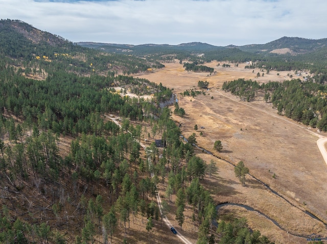 view of mountain feature