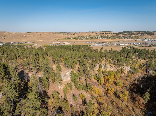 TBD Stage Stop Rd, Piedmont SD, 57769 land for sale