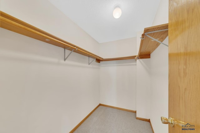 walk in closet featuring light colored carpet