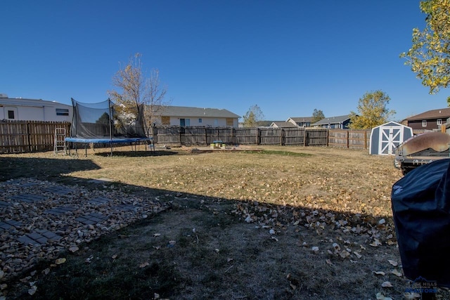 view of yard with a shed and a trampoline