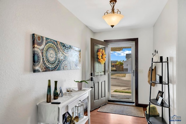 foyer entrance featuring dark hardwood / wood-style floors