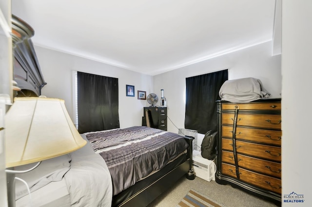 1922 Ivy Ave, Rapid City, SD 57701 - view of carpeted bedroom