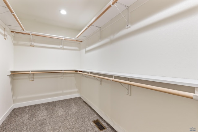 spacious closet with carpet flooring