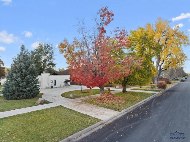 view of property hidden behind natural elements featuring a front lawn