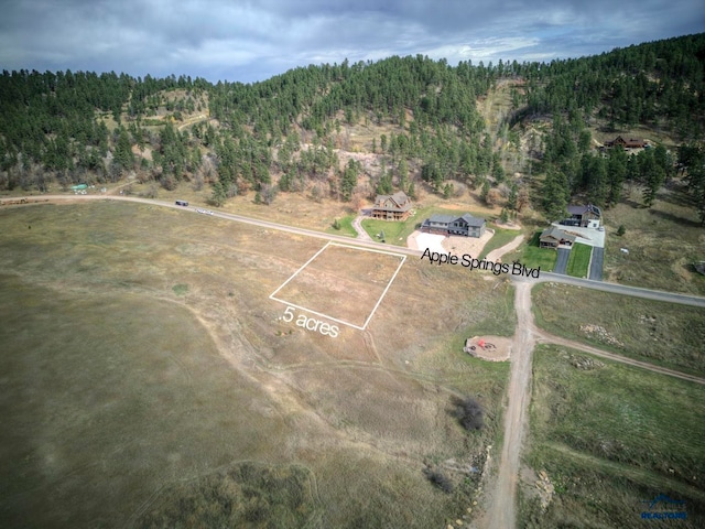 Listing photo 3 for LOT7BLK13 Apple Spgs, Sturgis SD 57785