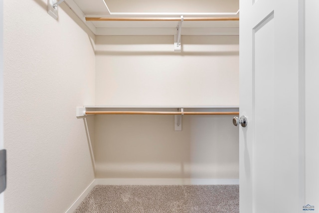 walk in closet with carpet