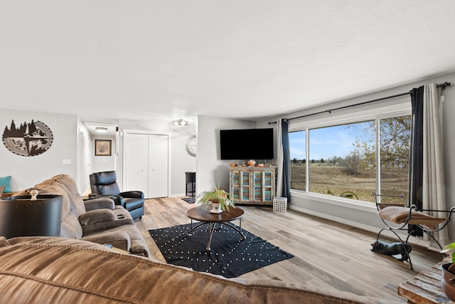 living room with light hardwood / wood-style flooring