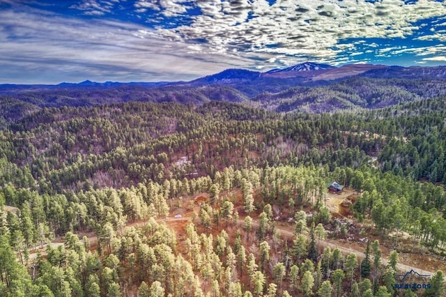 property view of mountains