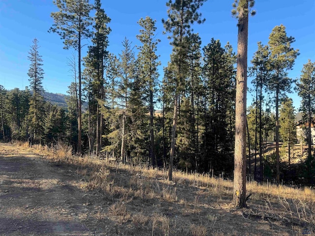 Listing photo 3 for LOT7 Dancing Sky Ln Powderhouse Pass, Unit Powderhouse Pass, Lead SD 57754