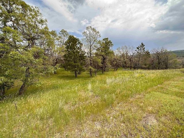 Ridgefield Loop, Spearfish SD, 57783 land for sale