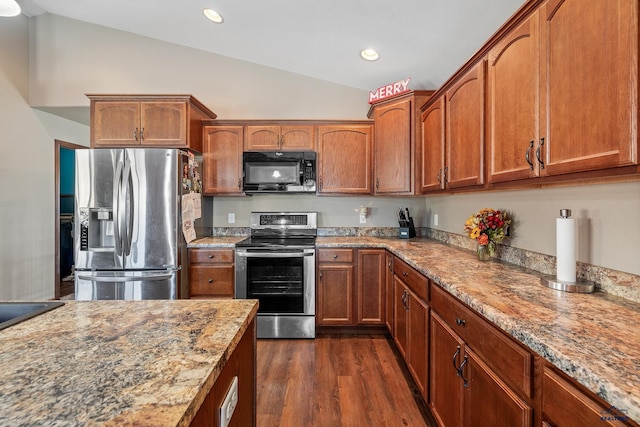 kitchen featuring stainless steel appliances, light stone counters, dark hardwood / wood-style floors, and lofted ceiling