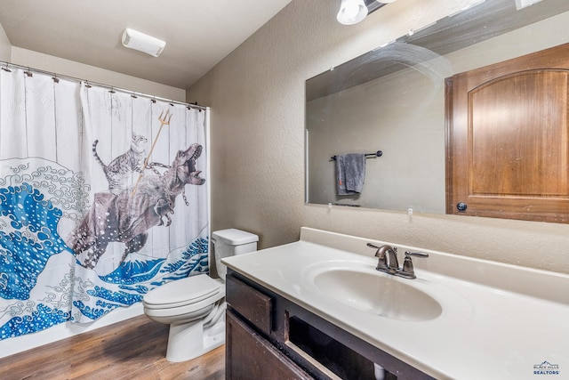 bathroom with vanity, toilet, and wood-type flooring