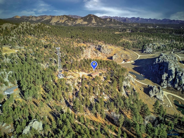 bird's eye view featuring a mountain view