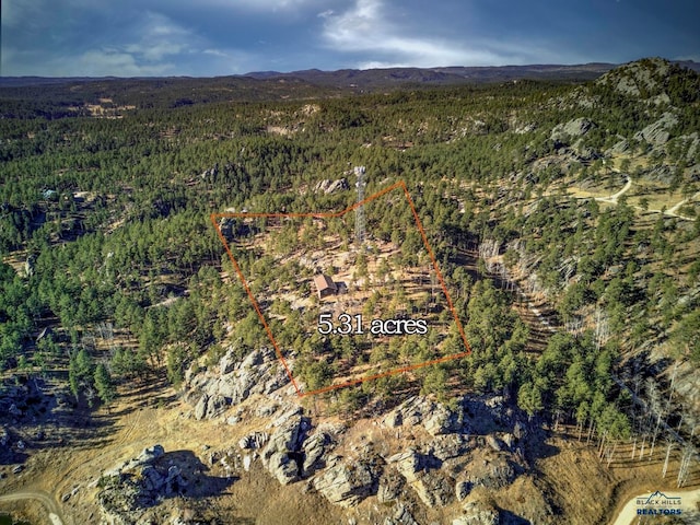 bird's eye view with a mountain view