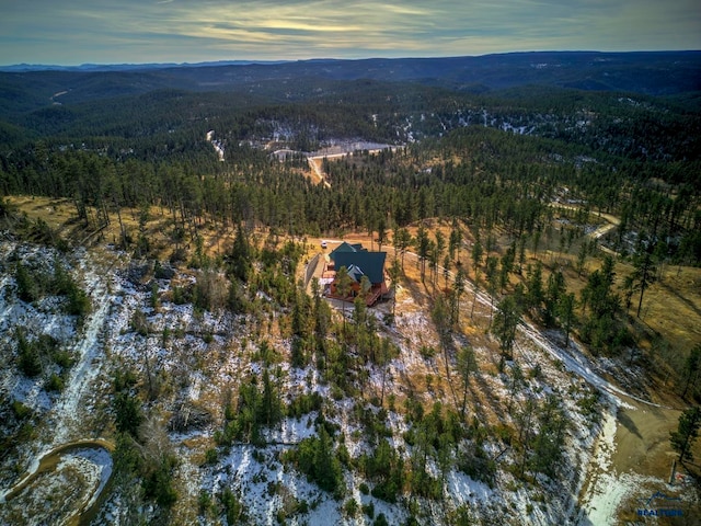 aerial view at dusk with a mountain view