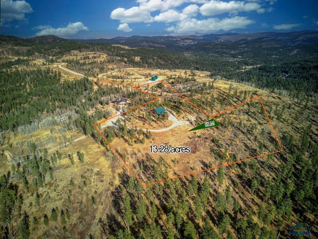 aerial view with a mountain view