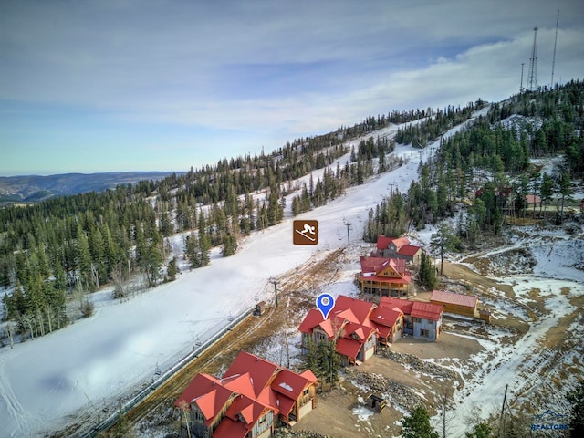 view of snowy aerial view