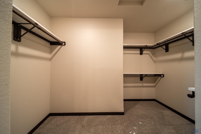 spacious closet with carpet