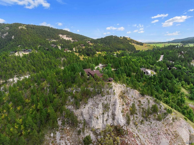 aerial view with a mountain view