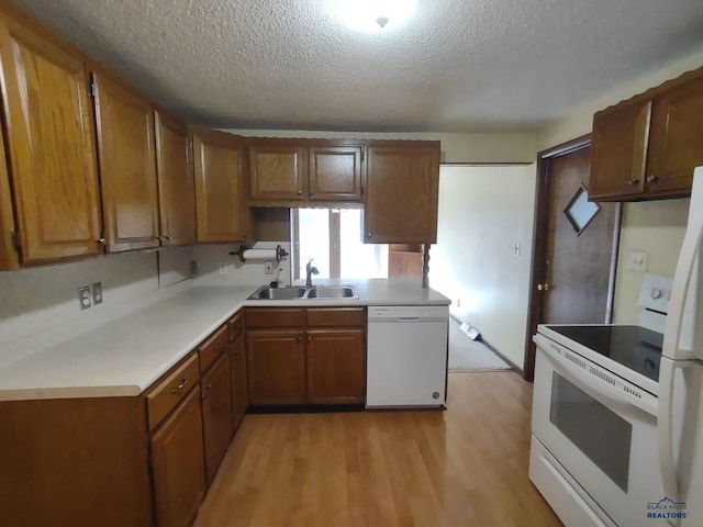 kitchen featuring white appliances, light hardwood / wood-style floors, a textured ceiling, and sink