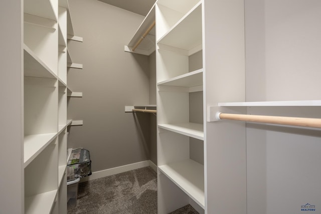 walk in closet featuring dark colored carpet