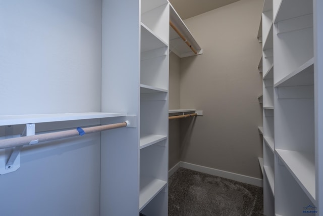 walk in closet with carpet