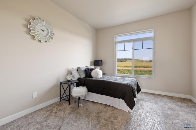 bedroom featuring carpet flooring