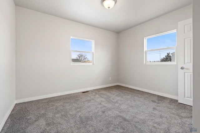 unfurnished room featuring a wealth of natural light and carpet floors