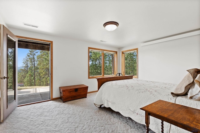 carpeted bedroom featuring access to exterior and multiple windows