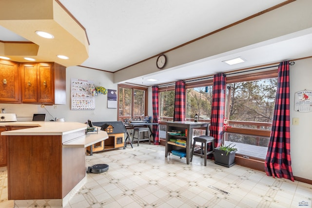 kitchen with kitchen peninsula and crown molding