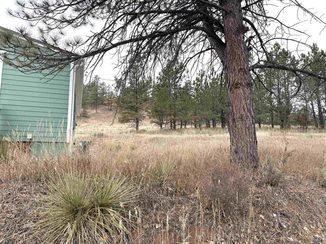 view of local wilderness