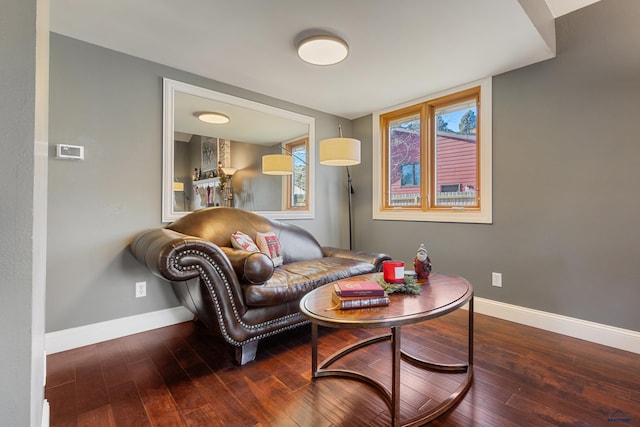 living room with dark wood-type flooring