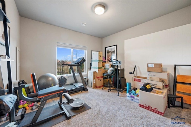 exercise area featuring carpet floors