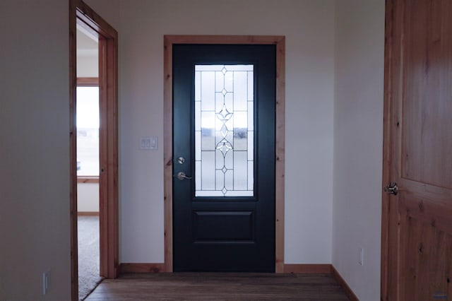 foyer entrance with wood-type flooring and a wealth of natural light