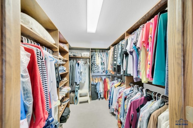 walk in closet featuring carpet