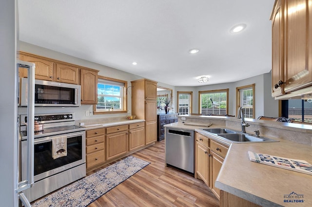 kitchen featuring a wealth of natural light, sink, light wood-type flooring, and appliances with stainless steel finishes