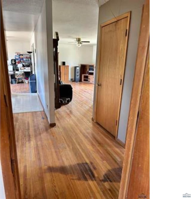 hallway with hardwood / wood-style flooring