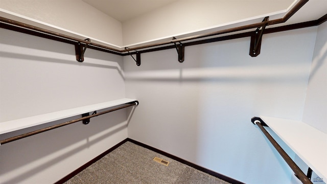 spacious closet with carpet