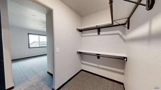 walk in closet featuring carpet floors