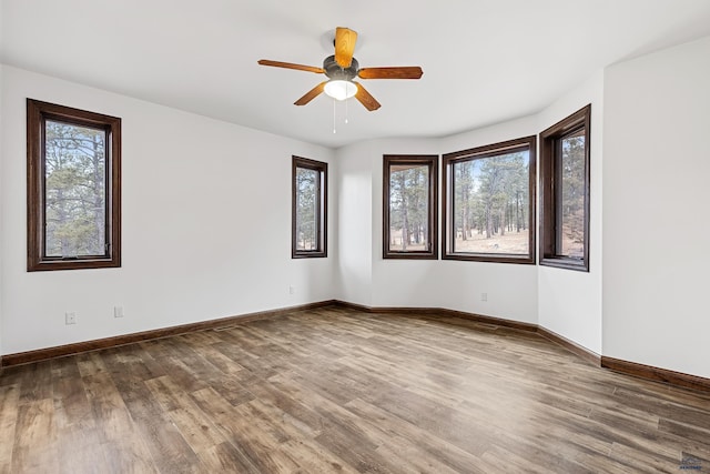 spare room with hardwood / wood-style floors and ceiling fan