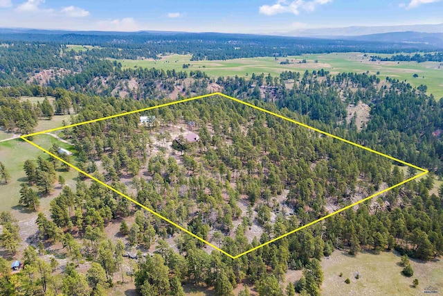 birds eye view of property featuring a mountain view