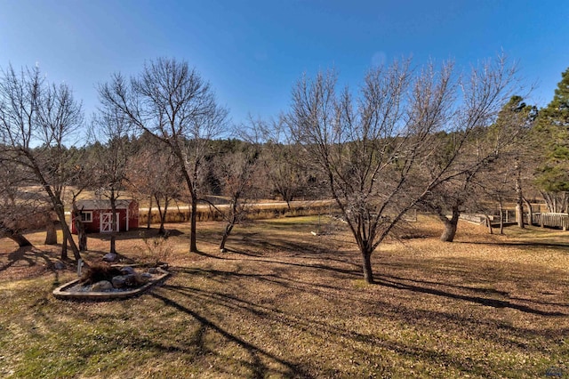 view of yard featuring a storage unit and a rural view