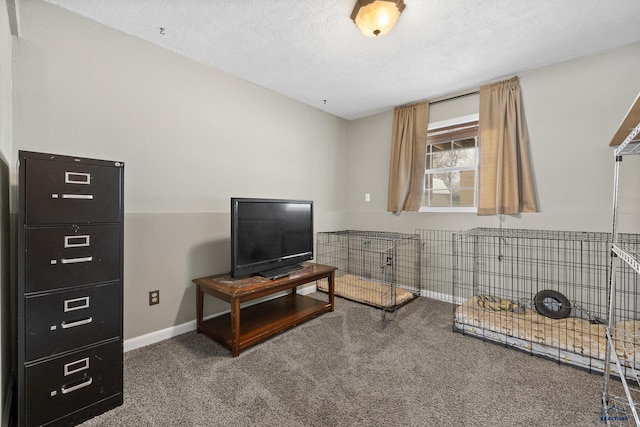 living area with carpet and a textured ceiling