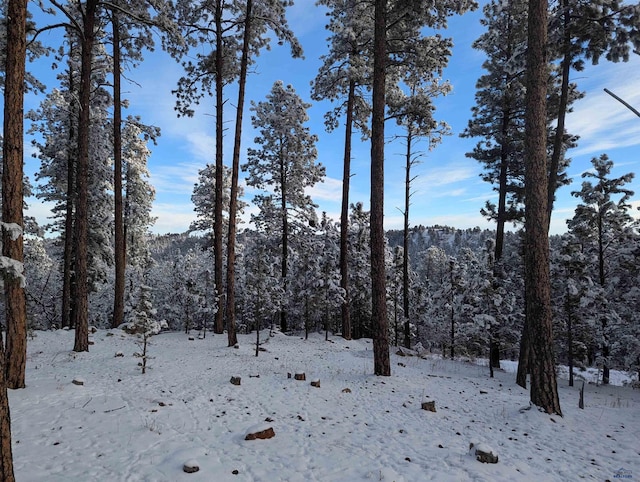 24420 Milo Ln, Keystone SD, 55751 land for sale