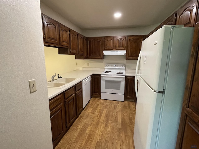 kitchen with dark brown cabinetry, sink, white appliances, and light hardwood / wood-style flooring