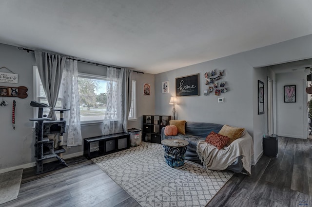 living room with hardwood / wood-style flooring