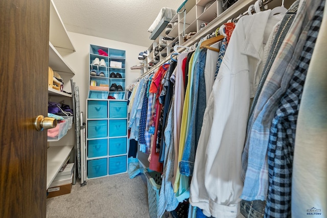 walk in closet with carpet