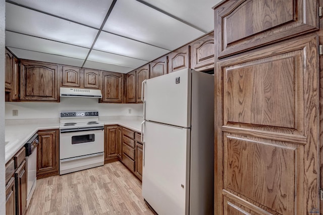 kitchen featuring a drop ceiling, white appliances, and light wood-type flooring